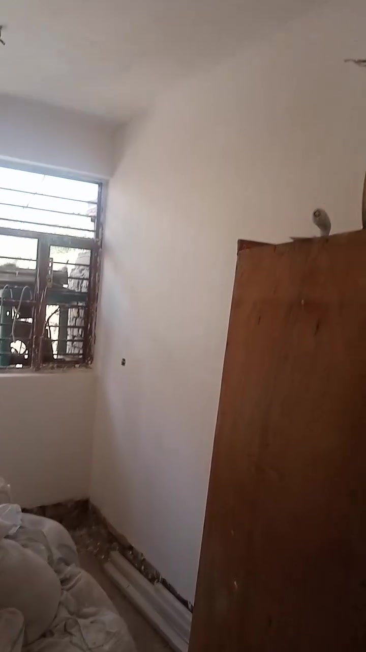 سلام عليكم
عملنا جص بورك لبخ نثر 
اطلع بل يومية           الكرخ 
***********
