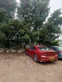 سنه خير وسعاده ع الجميع اخواني الاعزاء اذا تريدون سياره أجره سفره لارب...