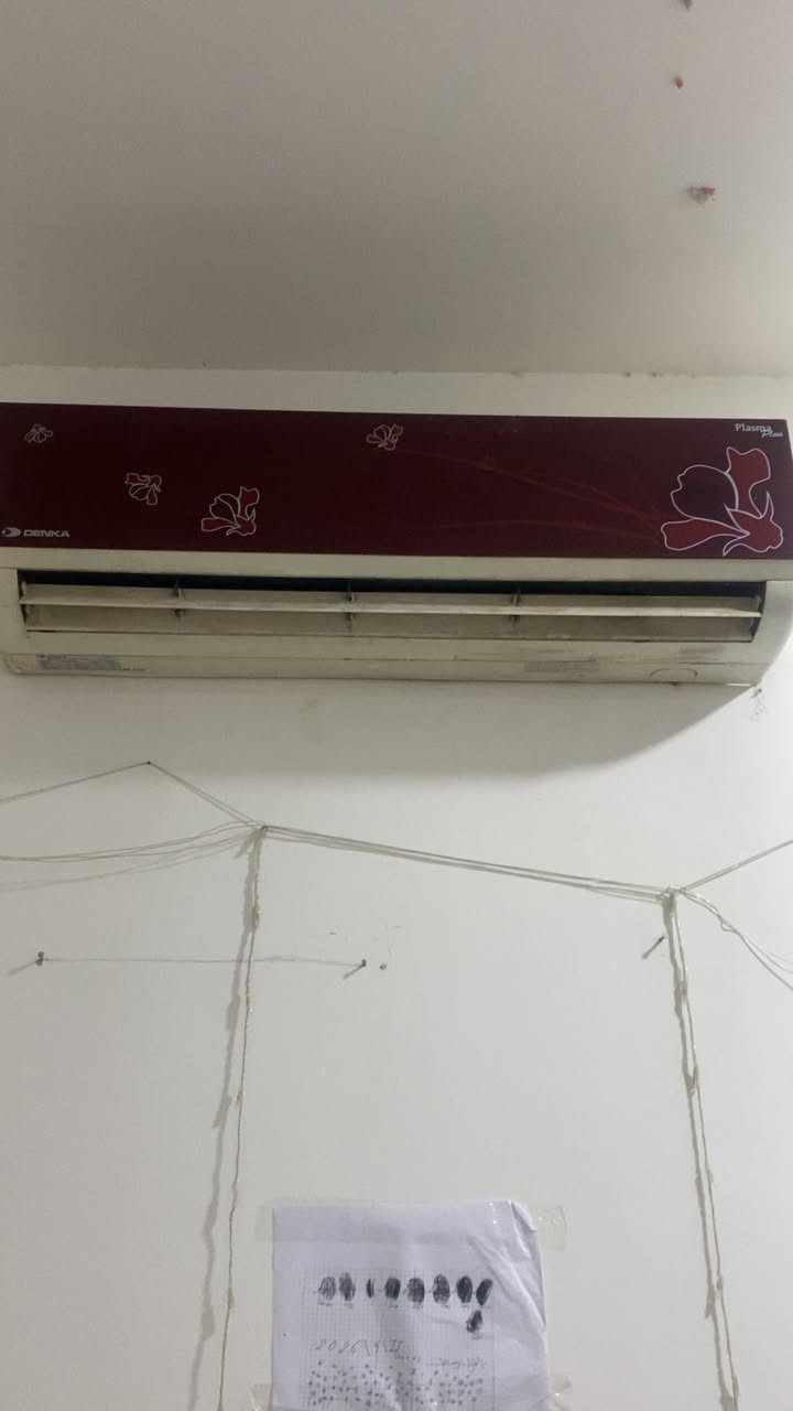 سبلت دنكا للبيع
*********** ابو حيدر
