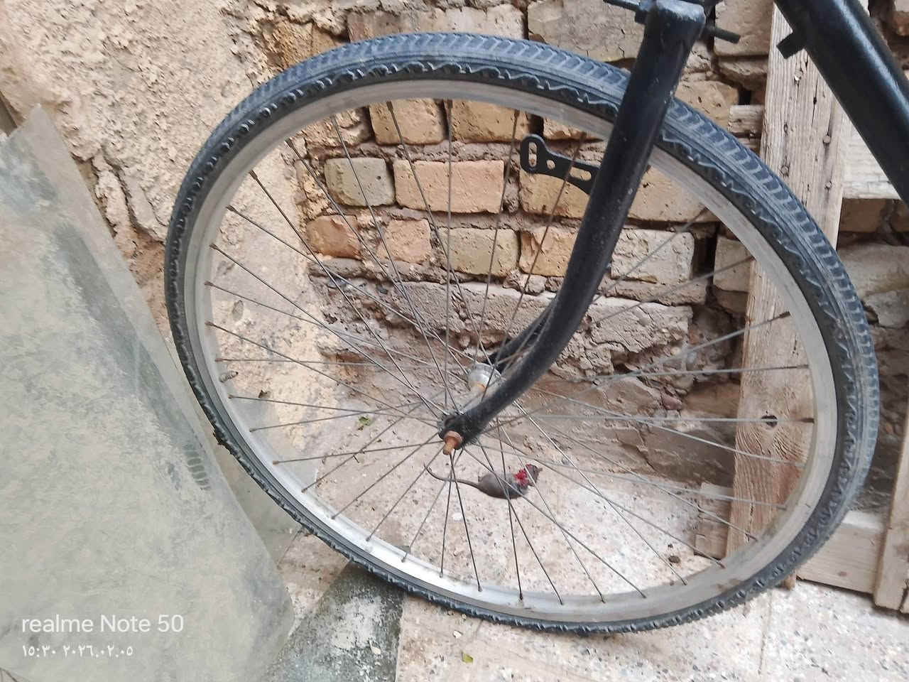 السلام عليكم باسكل بناتي حجم 23 السعر 45 الف بي مجال


**إذا كنت صاحب هذا الإعلان وتريد حذفه لأي سبب، رجاءا أرسل رسالة إلى الدعم الفني**