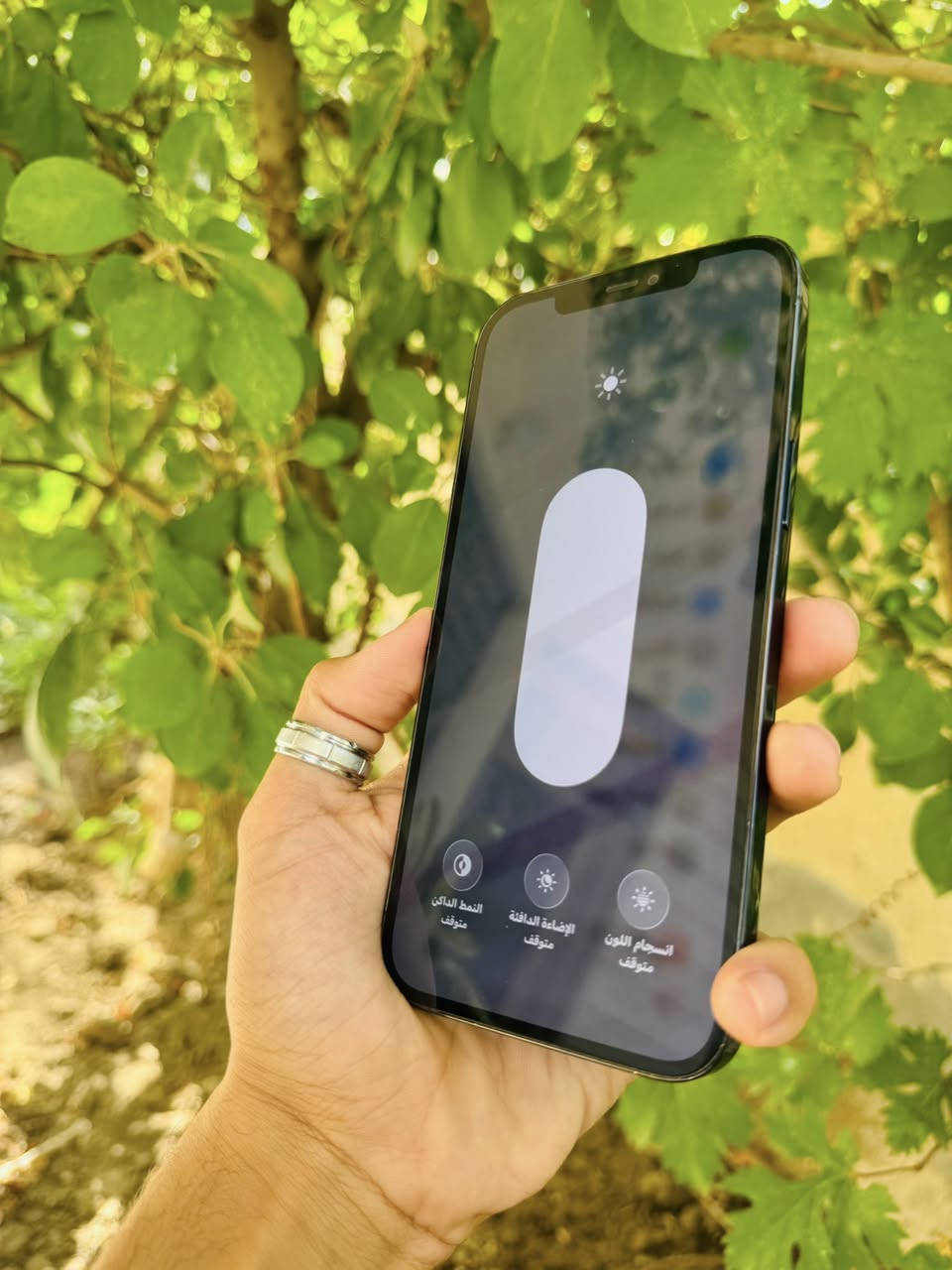 للبيع او مراوس 

ايفون 12 برو ماكس ذاكره 256 بطاريه 92 جهاز مكفول فقط فيس ايدي يعلك مرات يتشغل مرات لا وضهر واضح كدامكم مكاني كربلاء شراي تفضل خاص


**إذا كنت صاحب هذا الإعلان وتريد حذفه لأي سبب، رجاءا أرسل رسالة إلى الدعم الفني**