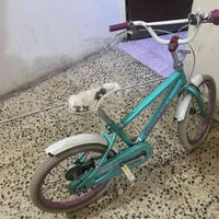 بايسكل بناتي ولادي • أوربي • الأمين الثانية