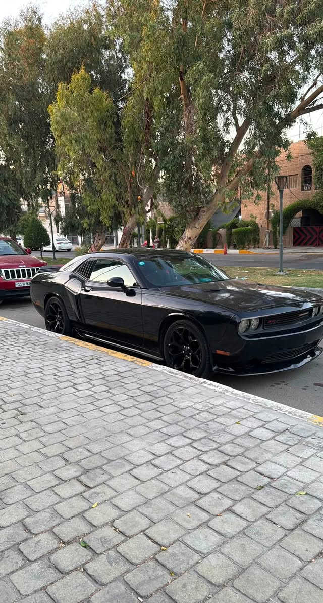 جالنجر 2014
حادثها مثل ما موضح كدامكم نص جاملغ وبنيد صبغ 
وباب السايق اتبدل ببلادي اصلي نفس اللون بدون صبغ .

عليها بلكات ريسنك 
عليها ستتم اكزوز كامل مع X بايب.
عليها كل الكماليات  ( لحية ، دووس، دفيوزر ، سبويلر ، شفقة و احزمة امان احمر ) .
ودهن امزويل وبانزين محسن معتني بيها كلش .

مكينة جديدة كفالة هي والكير والكهربائيات والتبريد. 
مكاني بغداد سعرها 98$ وبيها مجال جداً جداً بسيط 
*********** متوفر خاص او واتساب.

