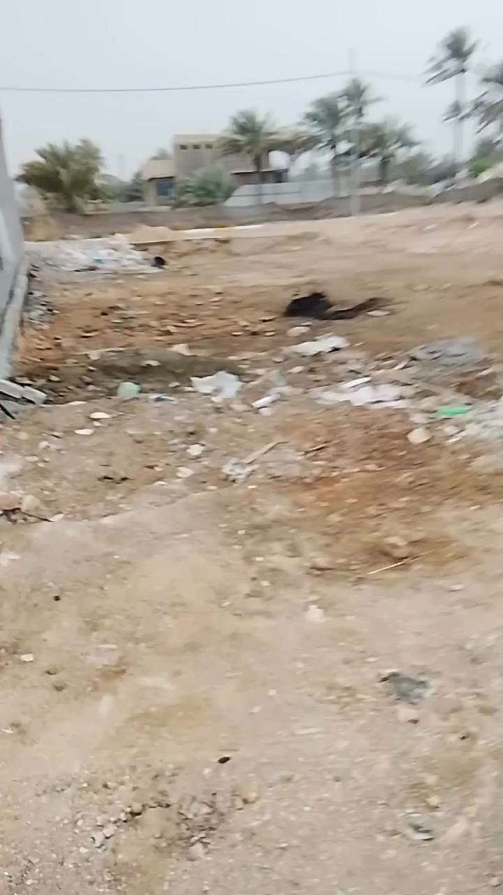 ***********
 ***********
