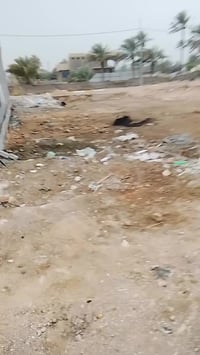 07726197863  07803642240