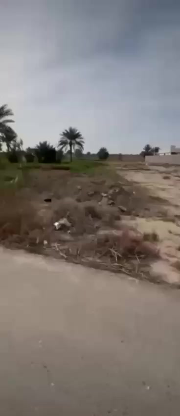 ‏سلام عليكم قطعة أرض مساحة 2000 متر زراعي خدمات كامله تقع على شارع عام 
واجهه 20 وربع 
نزال 100 متر 
تصلح سكن او مزرعة 
تريد 1000 متر هم ابيع 
او 2000 كامله 
العنوان بغداد المدائن سلمان بأك 
قرب الامام او قرب السوق 
منطقه ال بچامل
الاستفسار 
***********
