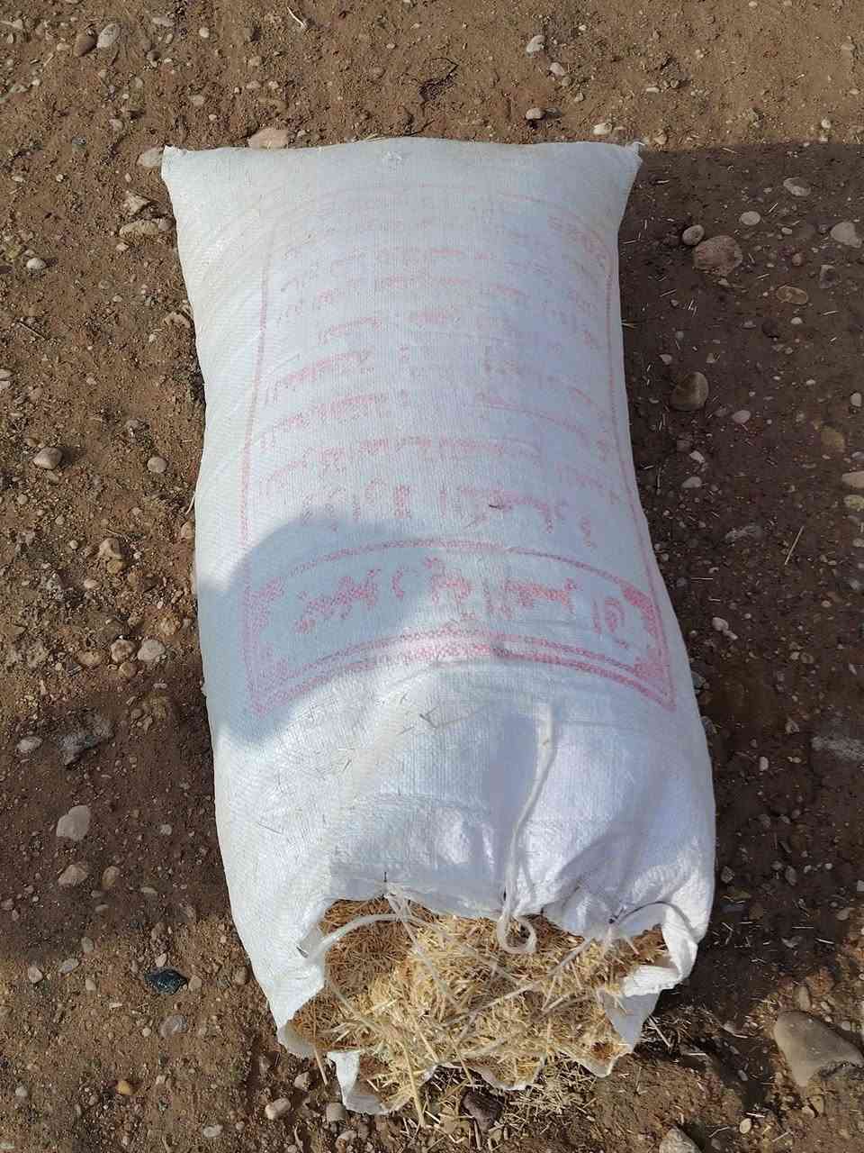 السلام عليكم اخوان متوفر تبن ابيض وناعم مثل ما موضح بالصورة سعر الزوج 4500 جيس ابو 60 شرط تبن درجه اولى
للاستفسار
***********
#ادمن وافق
