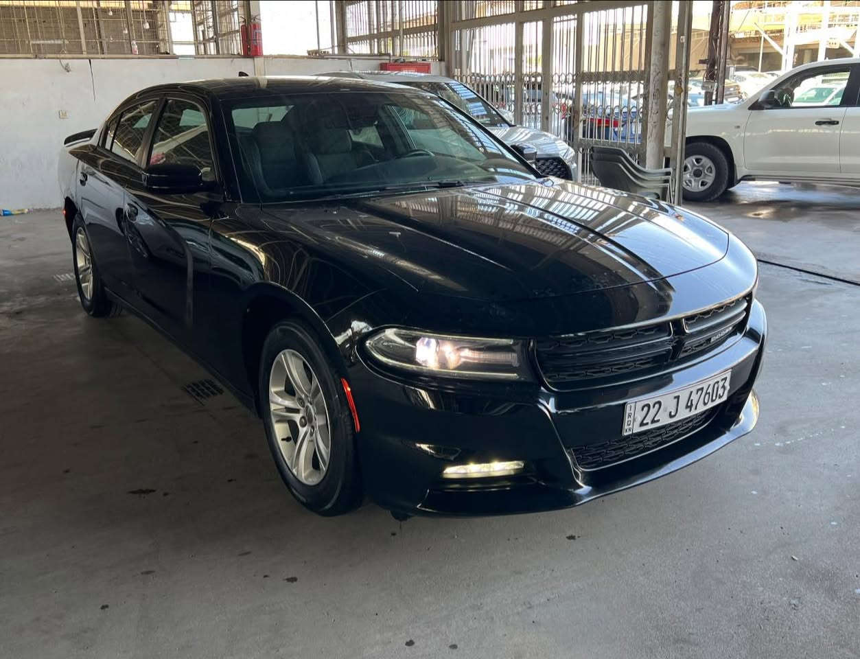 دوج جارجر
مودیل ٢٠١٨
مواصفات SXT
شاشة كبیر
تشغیل عن بعود
بلاجكتور
ماشیة ١٠٩ الف مایل
كیر + محرك + اكسل + تبرید + صدر كلو بشرط 
بیها ملاحظة صغیر باب خلفي جهة سكن شبر بي بارد + جاملغ خلفي  شبر بي تكحیل باقي كفالة
سعر//١٩،٧٠٠$
***********
عنوان// اربیل داخل معارض (معرض مختار)
