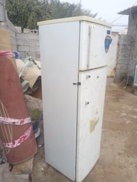 شغالة • تجميد • شبانات