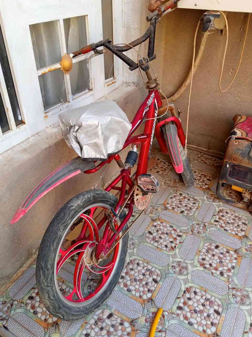 بسكل نضيف مابي شي لحد عمر 16 وبسعر مناسب


**إذا كنت صاحب هذا الإعلان وتريد حذفه لأي سبب، رجاءا أرسل رسالة إلى الدعم الفني**