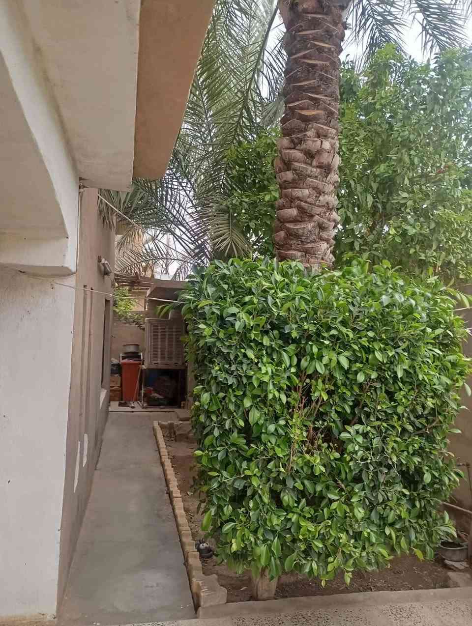 بيت مساح ٣٣٦متر في ه غراف كامل قرب مدرسة سيف العربي يرهم مراوس أو بيع


**إذا كنت صاحب هذا الإعلان وتريد حذفه لأي سبب، رجاءا أرسل رسالة إلى الدعم الفني**