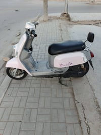 بوليس نوزل • وردي • ما تشتغل