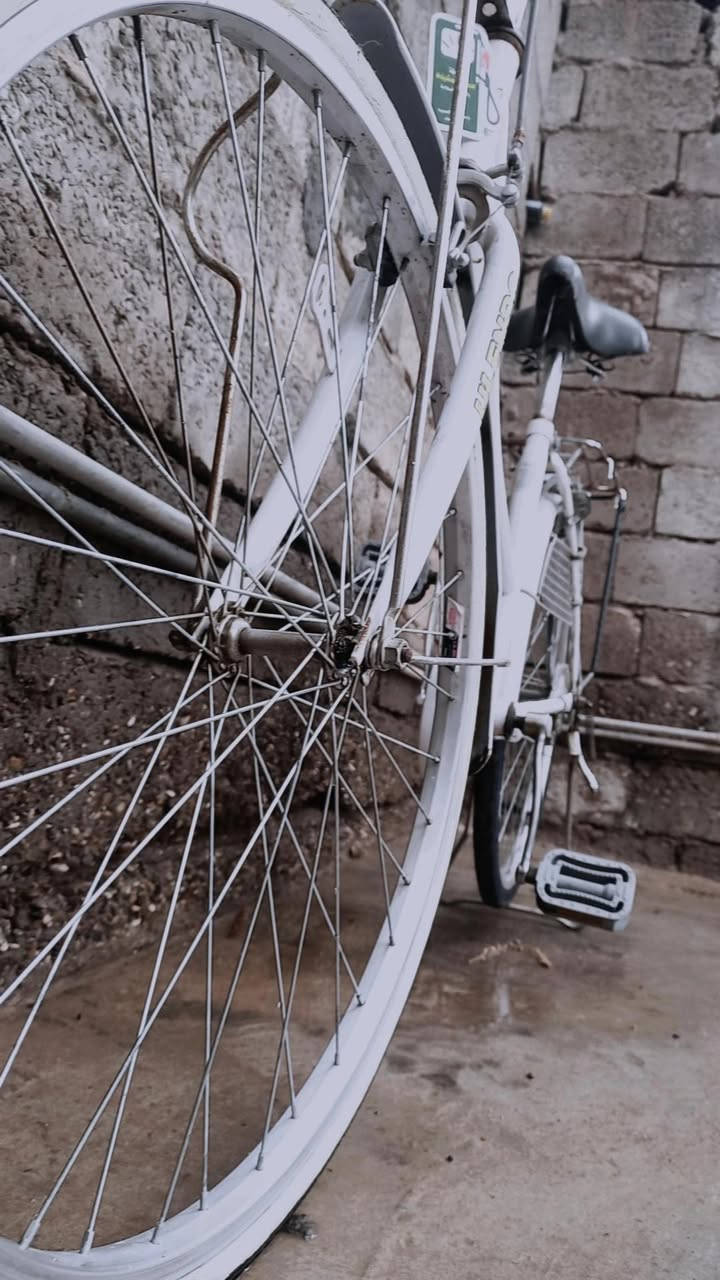 سلام عليكم باسكل نضيف كلشي مابي 👌
لا كو مراوس راوس كون نضافه حلو 💜
مكامك الصويره شارع المطار قرب مدرسه الزهير
حجم 26 👌هاذه رقمي بي واستاب ***********
