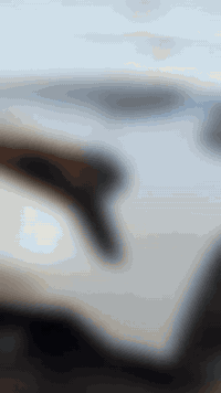 كي 5 خليجي 2025 ماشيه 16 ***********
