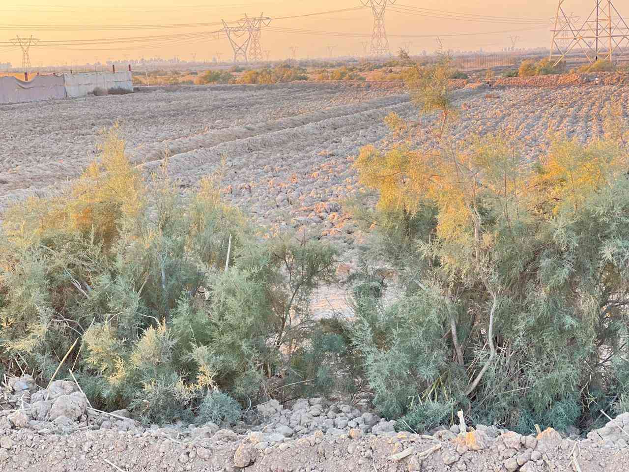 دونم نص طابو 25 زراعي يتحول بالأسم خلف محطة طاقة الكهرباء على طريق بغداد الوجه 37 ونص متر النزال 85 متر 
تصلح مزرعة او بستان + يوجد ماء / كهرباء / بناء 
السعر 50 وبيها مجال 
للاستفسار *********** دهل اوران, واسط
