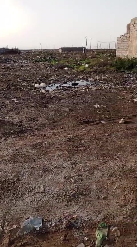 سلام عليكم،،، قطعة أرض ركن للبيع في سبع قصور سند ٢٥ زراعي مساحة ٢٩٤م مقاطعة ١٩ واجهة ١٤م نزال ٢١م قرب حجي سفيح قريبه على التبليط ٥٠ متر السعر ١٨ مليون وبيه مجال وحسب رغبة المشتري يريد مكاتبة أو وكالة من صاحب الأرض الأصلي وللأستفسار على رقم الموبايل *********** واتساب ابومحمد،،،،
