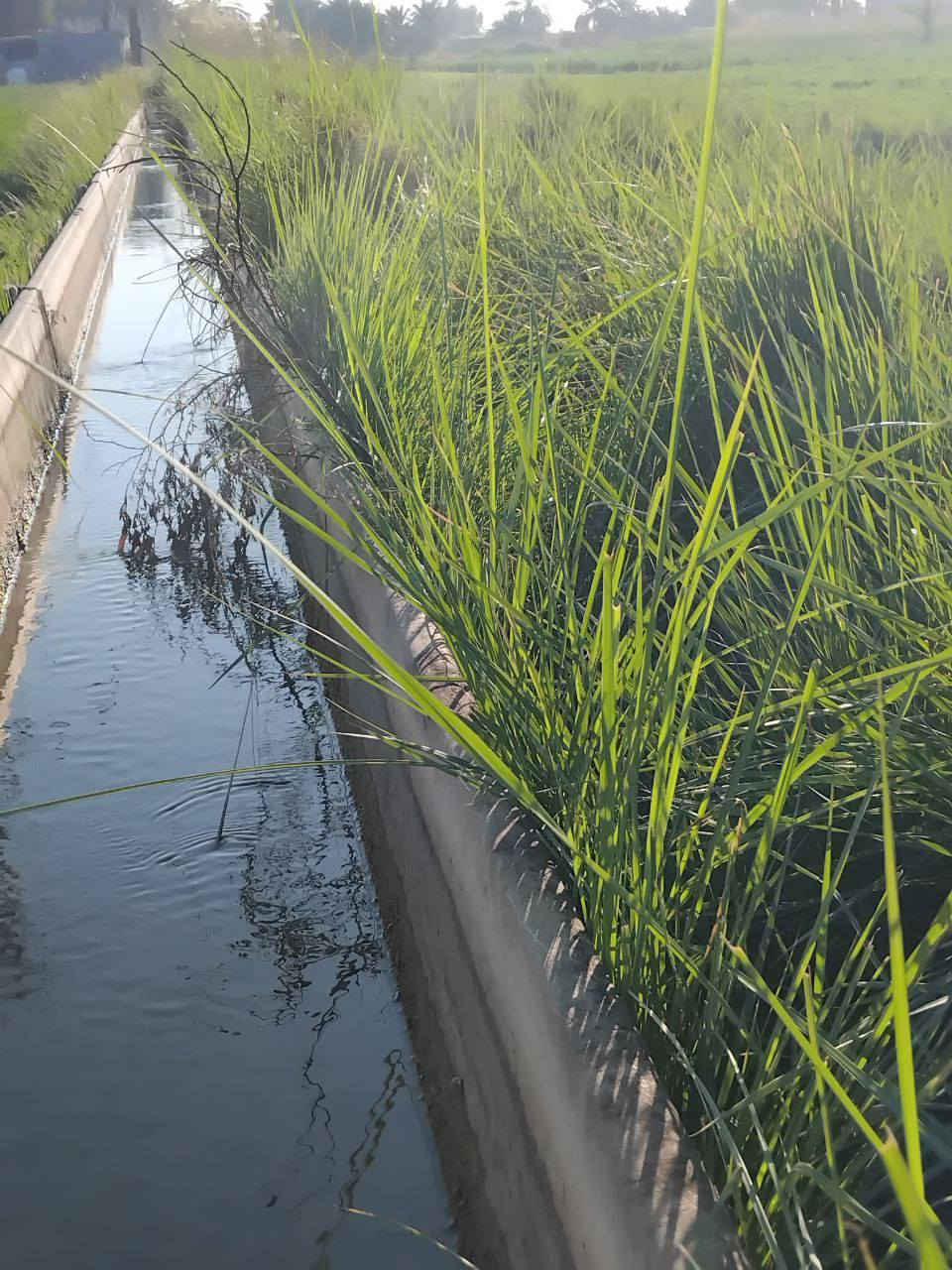 السلام عليكم توجد ارض زراعيه ٣ دوانم للبيع اليوسفية _ بئر الحمام سند ٢٥ قريبه عن الناحية ٥ دقايق مي وكهرباء وقريبه عله التبليط ومشجره ومزروعه كلها جت ونخل واروائي مي بيها واساله  الوجه ٣٠ نزال ٢٥٠ متر
السعر ٧٥ وبيه مجال
التواصل عله الرقم ***********
