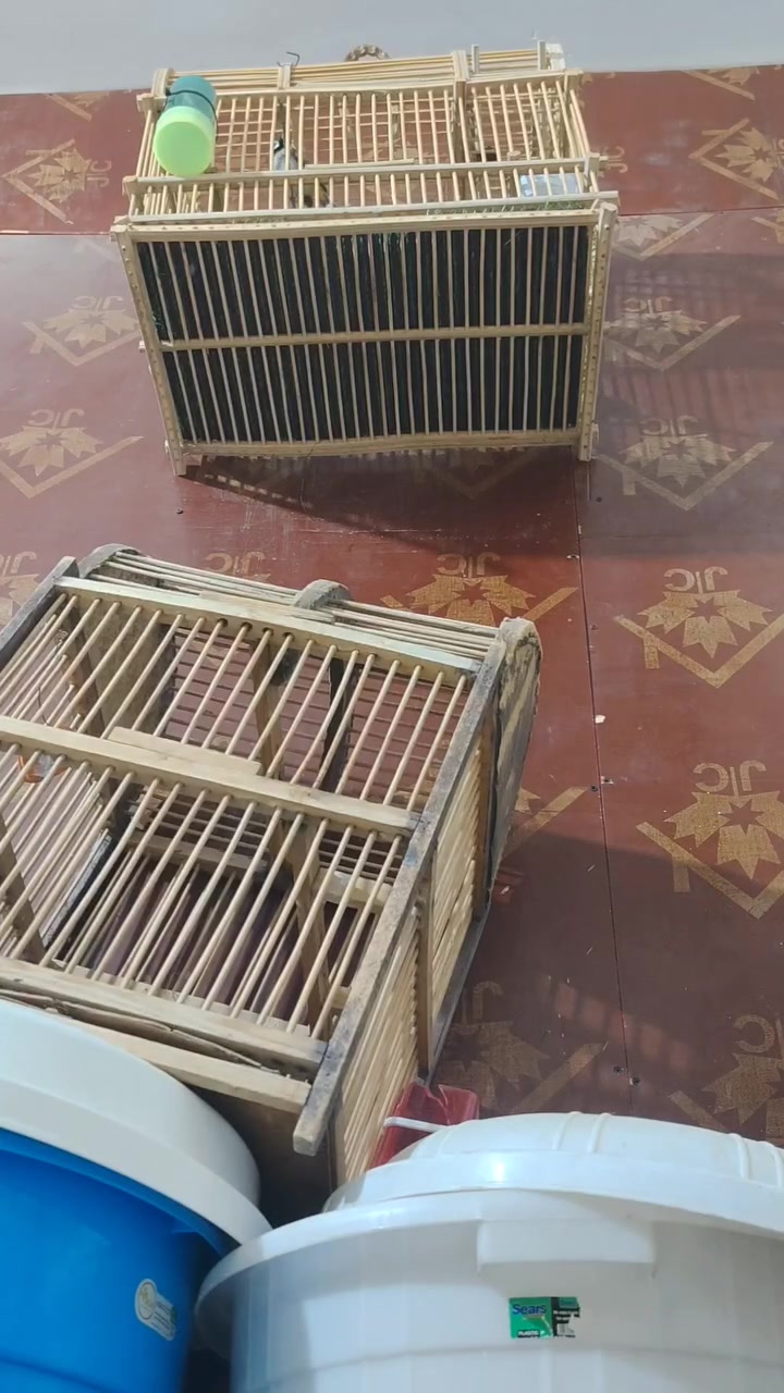 سلام عليكم
طور جالس بلبل حار كل غلط مابي طك جناح مكان ناصريه مركز ***********
