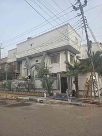 صبغ • سحب معجون • بصرة