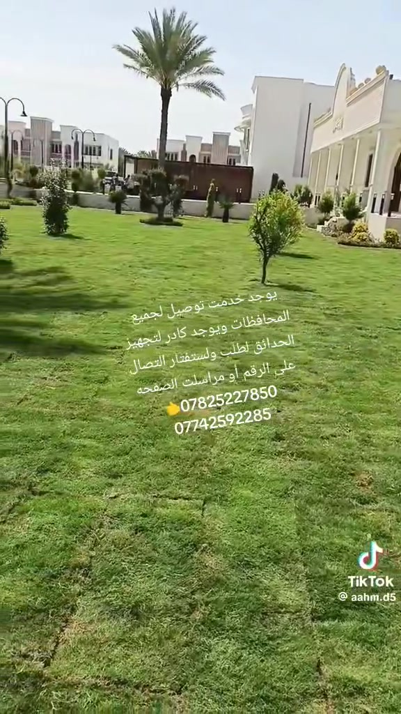 🌿 المزارع الخضراء – الأول في الثيل الطبيعي

متخصصون بتوفير أجود أنواع الثيل الطبيعي:
✅ هندي – ✅ أمريكي – ✅ فرنسي
جودة مضمونة وتوصيل متوفر إلى جميع محافظات العراق 🇮🇶

📞 للاستفسار أو الطلب اتصل بنا الآن:
***********
***********
