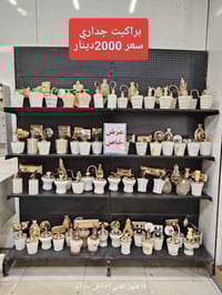 إضاءة • أدوات صحية • العمارة-عواشة