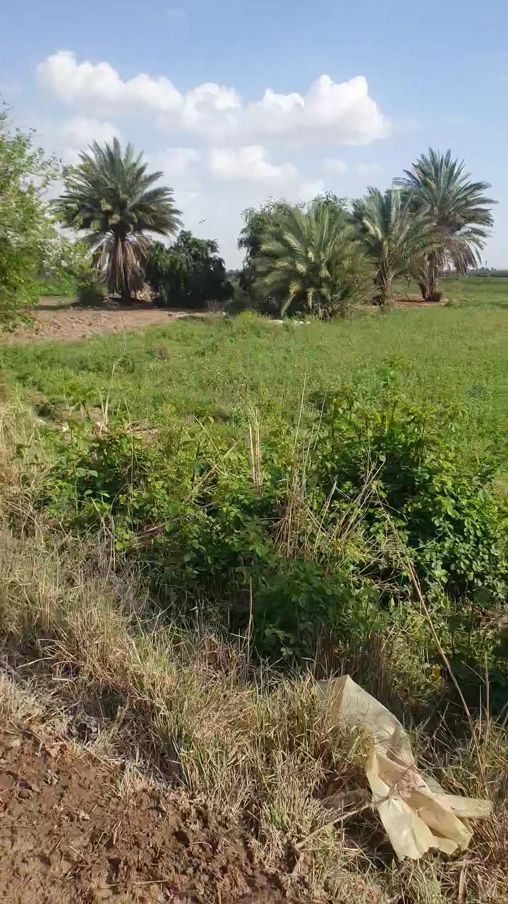 #اعلان_عقارات 🏠
#_من_بريد_الصفحة 
📢5 دونم للبيع في جنوب بغداد – عرب جبور 

🔹 دونم طابو سند 25
🔹 الموقع: بغداد الدوره عرب جبور – 37 _6المناري
🔹 الواجهة: 50
النزال 250

💰 السعر:دونم 60 مليون دينار

📞 للاستفسار والتفاصيل أكثر الاتصال على الرقم المرفق 
***********
