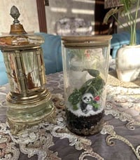 تيراريوم • نادر • توصيل موصل