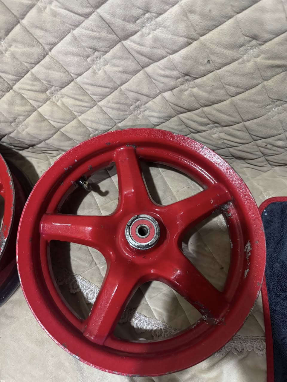 للبيع وياله سكنس جبلي نضيفات كلش ومكفولات من الطسه والعواج والتنفيس بلاديات مامصبوغات شرط .مكاني بابل مركز المدينه هذا رقمي *********** . السعر ٦٥ 🩵🔥
