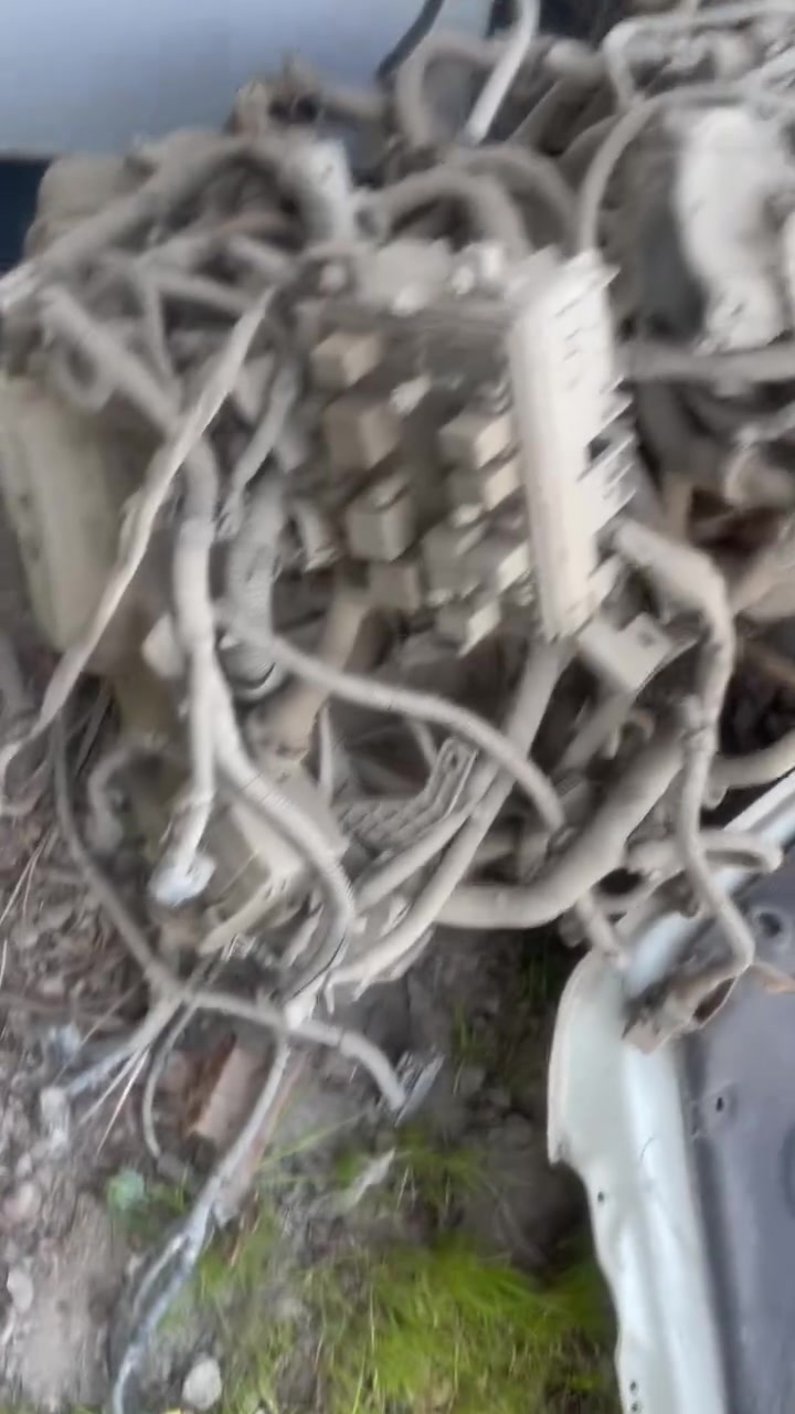 هاتف ***********
