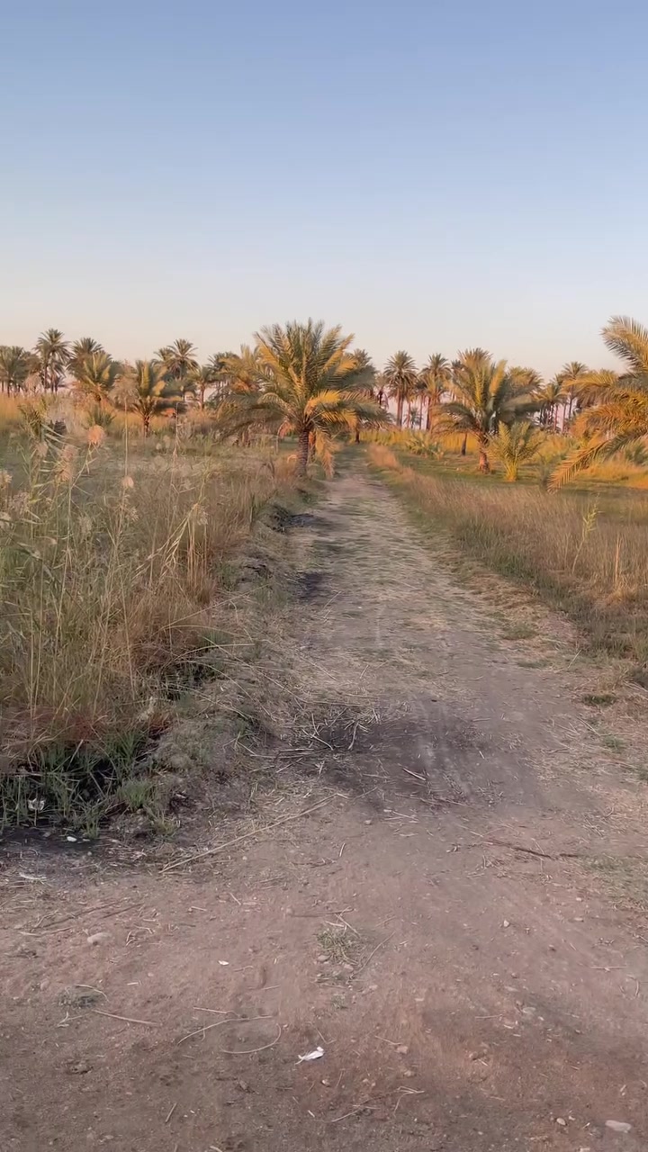 سلام عليكم  ٣دوانم للبيع  سند 25
كهرباء
ماي 
اربع بزول
وجه تبليط
تبعد عن شارع كربلاء بغداد 500متر 
مكاني بابل 
لمسيب ناحيه سوراء
بلقرب من سيطرت لوند مدخل كربلاء
***********
