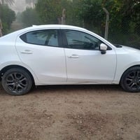 يارس • ٢٠١٩ • مكاني الراشدية