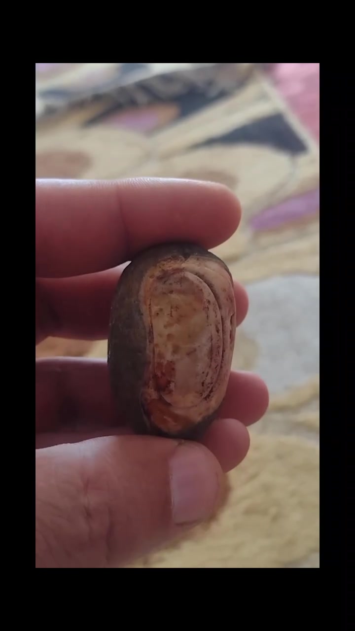 اصلي شرط


**إذا كنت صاحب هذا الإعلان وتريد حذفه لأي سبب، رجاءا أرسل رسالة إلى الدعم الفني**