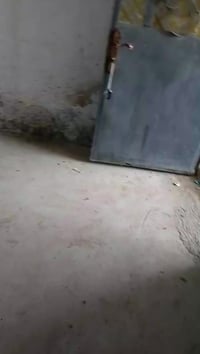 يوجد بيت للايجار مساحه 300متر نضيف  للاستفسار اتصال ع رقم 07864264351