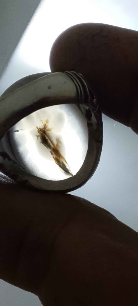 محبس فضه يماني اصلي قديم 
سعره40 البصرة, العراق


**إذا كنت صاحب هذا الإعلان وتريد حذفه لأي سبب، رجاءا أرسل رسالة إلى الدعم الفني**