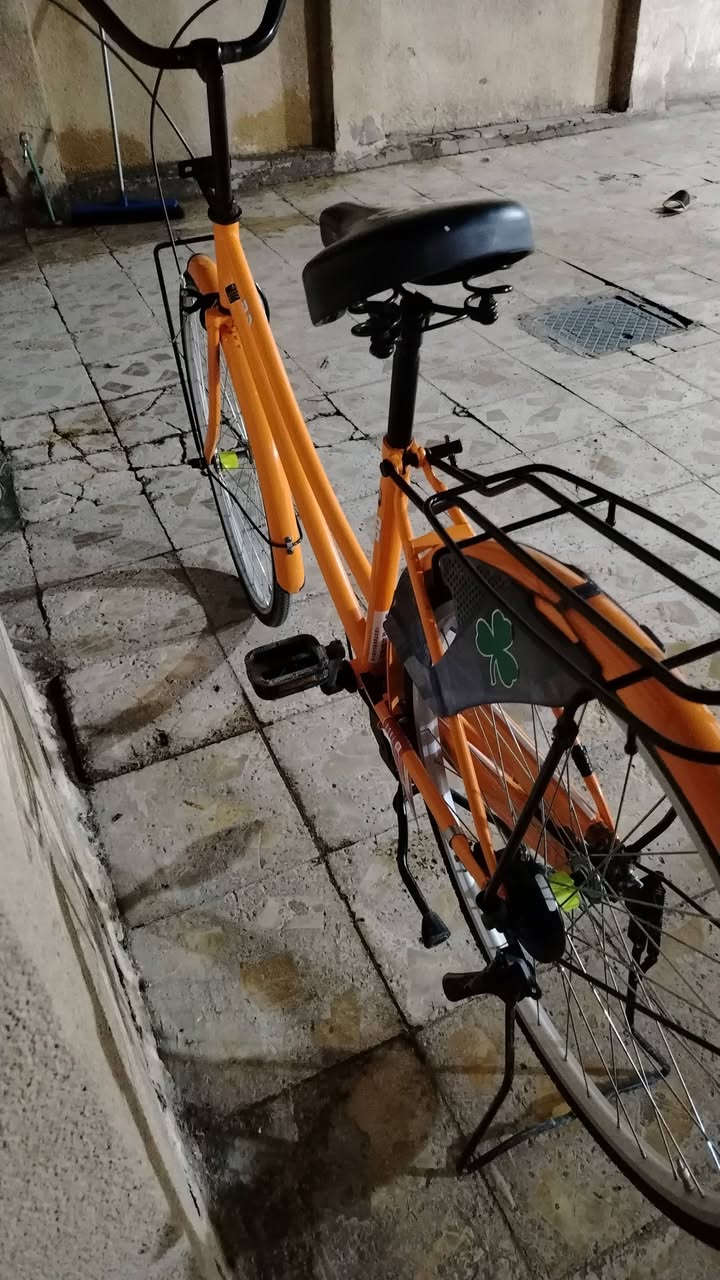 للبيع لون برتقالي موديل٢٢ باسكل نضيف


**إذا كنت صاحب هذا الإعلان وتريد حذفه لأي سبب، رجاءا أرسل رسالة إلى الدعم الفني**