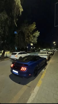 ايكو بوست • ٢٠٢٠ • ضرر امريكا
