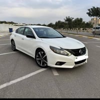 التيما ٢٠١٧ • رقم شمالي • مراوس سورنتو ٢٠١٦/٢٠١٧