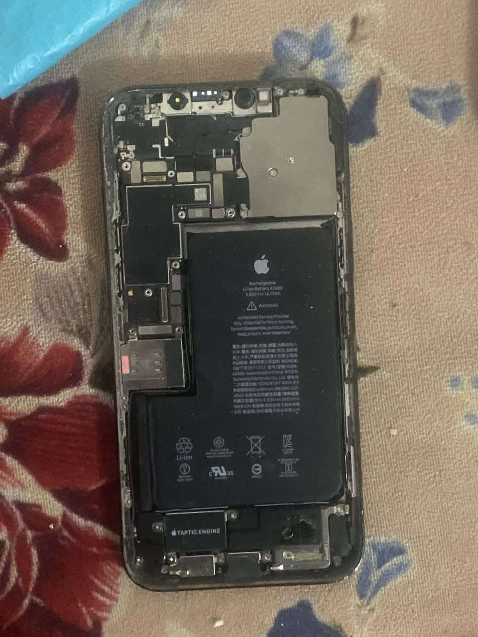 سلام عليكم ثنين واحد 11عادي ذاكره 256 بطاريه ٩١  جهاز بلادي بدل فقط شاشه بس اكو مشكله اكلود ناسي ويليرده سويله تخطي وياخذه وثاني 12برو ماكس ذاكره 256 بطاريه 78مناقصه بس شاشه  ولكمرات لخلفيه بيهم وتراب كلهم شغلات غير هذه حجي يرجع موجود فيس ورقمي ***********
