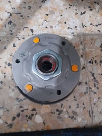 شباب غراض سكنس فحل للبيع 07706475123