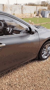 كامري ٢٠٠١٦ الون نفطي بسمي تريد تحويل تريد وكاله طخم تاير موجوده بل الانبار القائم السعر ١٤٥ ورقه أو ابيها مجال هاذه رقمي ***********
