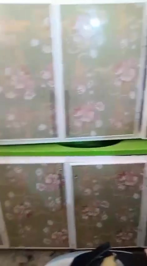 كاونتر البيع مستخدم نظافه زين يريد
شراء يتفضل خاص سعره 200بي مجال


**إذا كنت صاحب هذا الإعلان وتريد حذفه لأي سبب، رجاءا أرسل رسالة إلى الدعم الفني**