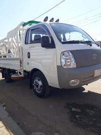 فحل للبيع  موديل 11 هاتف  07705613953