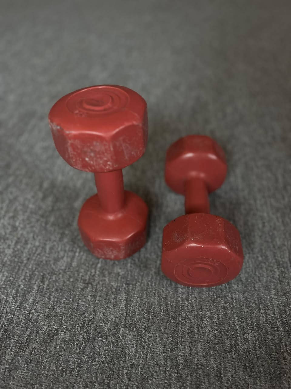 دمبلص وزن 4 كم /
. الموقع بابل قرب معمل غاز الحله

السعر : 15الف فقط 

***********
