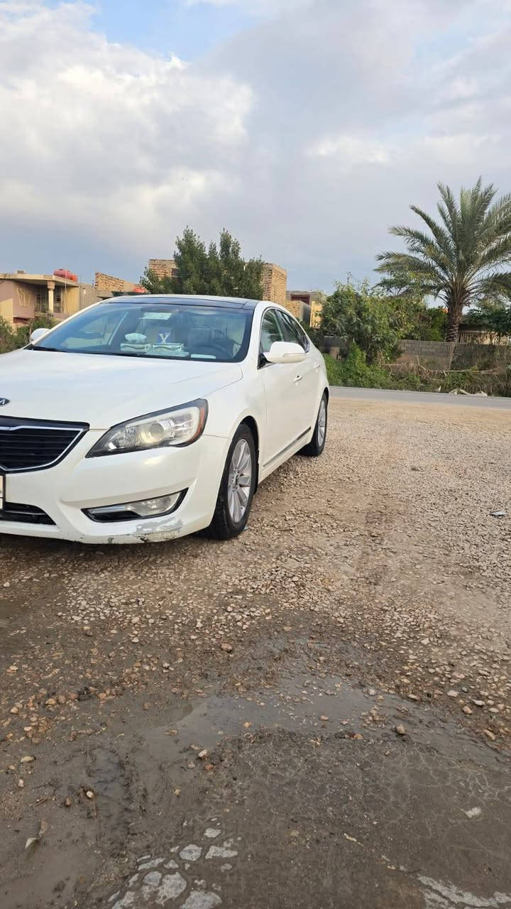 كادنزا موديل 2011 رقم بغداد فول فوول مواصفات كير محرك 6 تبريد مكفولات السياره بيه خمس قطع صبغ بدون ضربه السعر 95 وبيه مجال مكان سياره بالحله الرقم ***********
