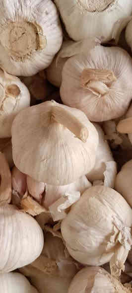 علوة ابو عدنان واولاده ترحب بكم
السلام عليكم ورحمة الله وبركاته
الهم صلي على سيدنا محمد واله واصحابه اجمعين وبفضل الله عزوجل وصلنا مسواق اليوم الثلاثاءولله الحمد
راوه فلكة البلديه ركن شارع الجسر بين الفرن ومكتب البساط الاخضر***********يوجد توصيل
فراوله موز  كيوي تفاح احمر
لالنكي برتقال ابو صره ليمون حامض
رمان يمني رمان سوري رمان مصري
طماطه خيار
بنجان سوري شجر سوري
بصل يابس اخروبنفسجيوابيض ثوم 
ادوات طرشي
لهانه حمره لهانه بيضه قرنبيط
شلغم شوندر تفاح القاع
رقي سوري بطيخ سوري قرع مال راوه
ودمتم حيكم الله واهلا وسهلابكم
