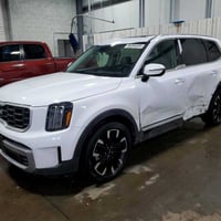 كيا تلورايد • ٢٠٢٤ • مزاد