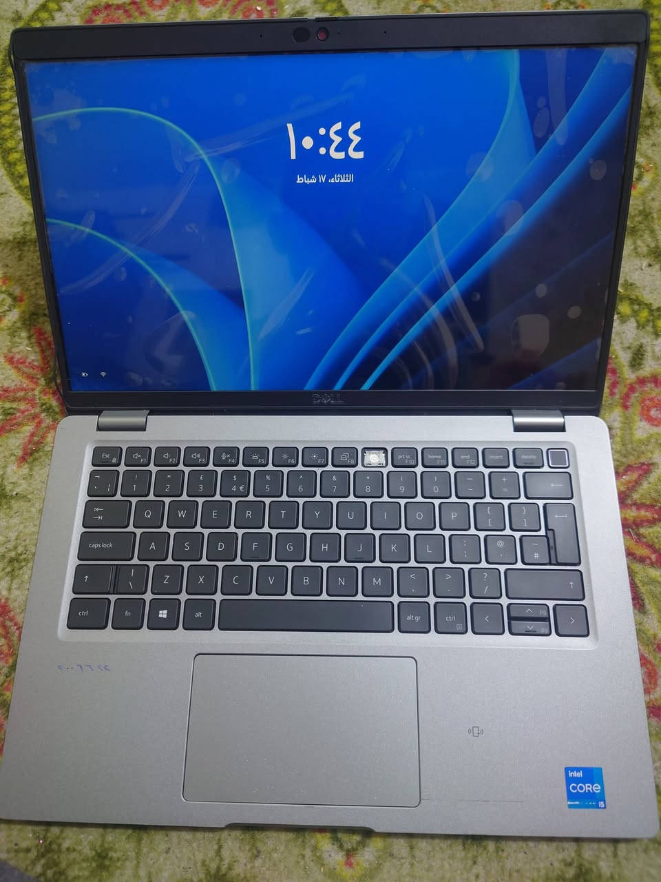 لينوفو جيل 11
المواصفات
I5-1145G7
الرام 16 گيگا تردد 3200
الهارد M. 2  256
حجم الشاشه 14 انش
دقة الشاشه 1080-1920
البطاريه جيده أكثر من ساعه .
يفتح على بصمة الإصبع + بصمة الوجه
وندوز 11 

توجد ملاحظات . بدون تأثير .
1. الشاشه مستبدله (جديدة)
2. زر p9 من الكيبورد ما موجود 
3. اطار الشاشه بي كسر ومصبغ بصورة جيده .
الملاحظات الي مذكوره كلها بدون تأثير على الأداء .

السعر 300 الف . سعر ثابت .


**إذا كنت صاحب هذا الإعلان وتريد حذفه لأي سبب، رجاءا أرسل رسالة إلى الدعم الفني**