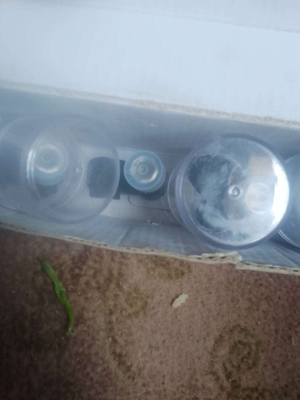 السلام عليكم انجكترات 6تخم للبيع التخم ب25 بنص السعر


**إذا كنت صاحب هذا الإعلان وتريد حذفه لأي سبب، رجاءا أرسل رسالة إلى الدعم الفني**