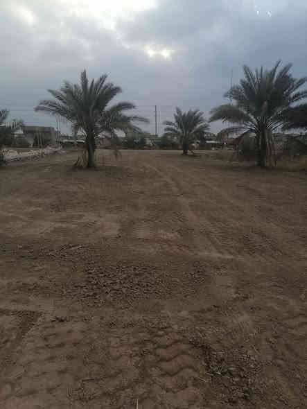 دونم طابو زراعي سند ٢٥ تحويل مباشر المكان مميز يصلح ان يكون تحاري او يصلح ان يكون مزارعه يصلح الكافه المجالات يبعد عن جسر الحوالي مال صناعي تقريبا ٨٠٠ متر من جسر اوتدخل علئ شط مله الاستفسار اكثر( ***********) او مرجعه مكتبنا الكائن في محافظه بابل
