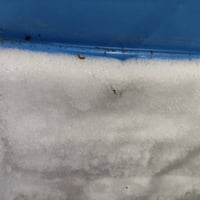 ثلاجة • للبيع • تواصل خاص